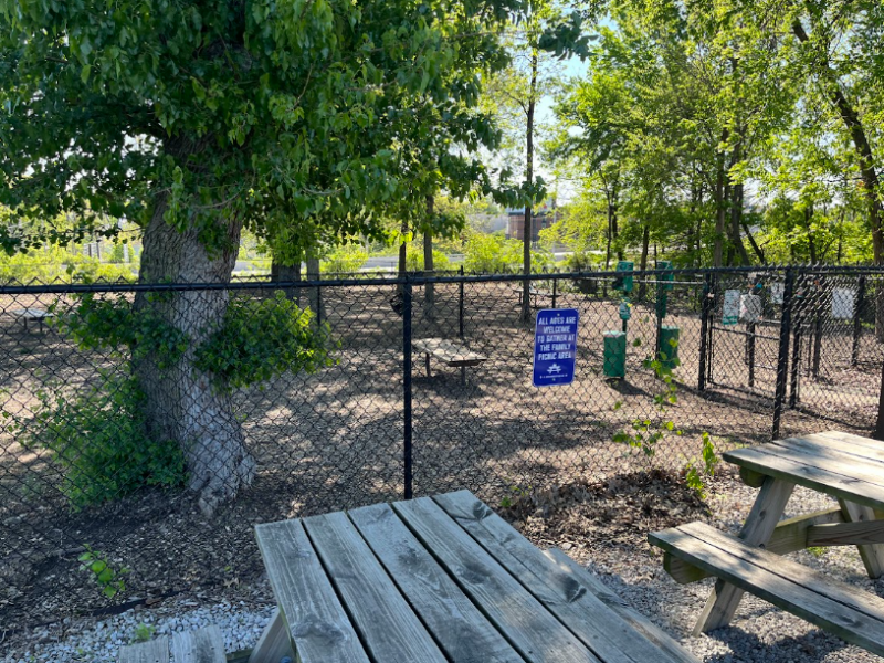 Dog Park